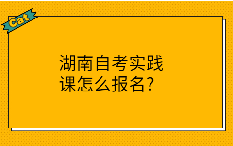 湖南自考實踐課報名方式