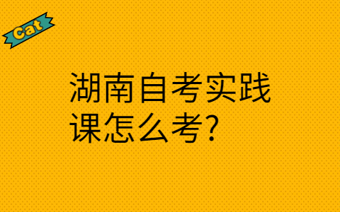 湖南自考實踐課怎么考