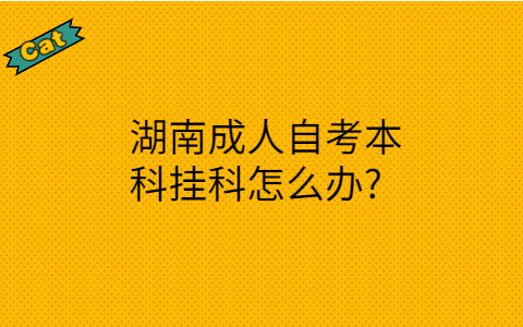湖南成人自考本科
