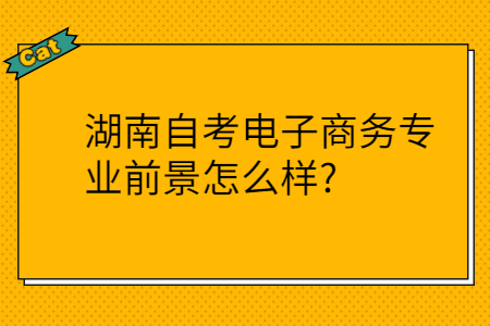 湖南自考學歷的用途