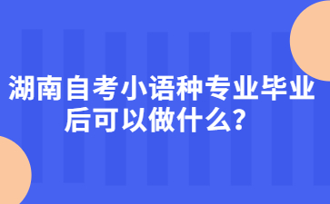 湖南自考小語種專業(yè)畢業(yè)后可以做什么？