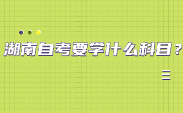 湖南自考要學什么科目？